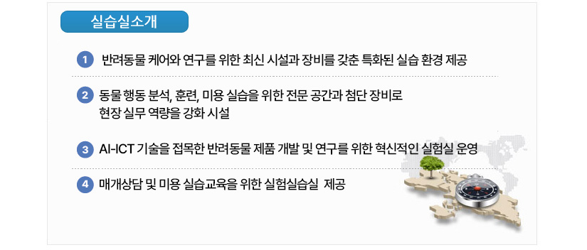 교육과정