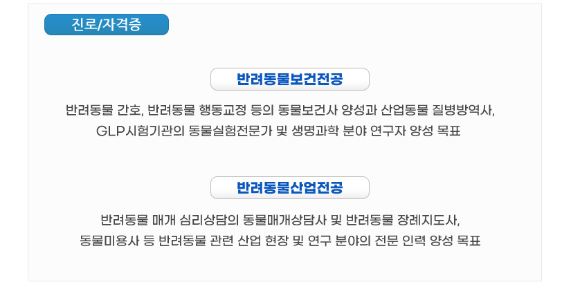 취득자격증