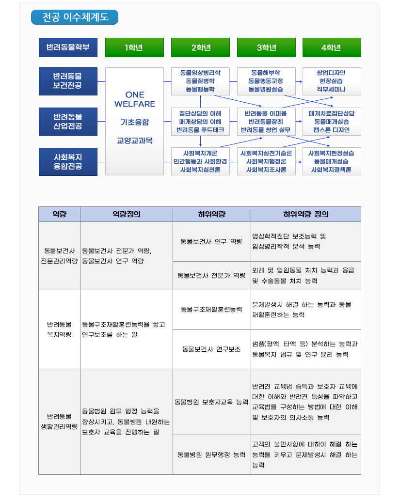 전공이수체계도